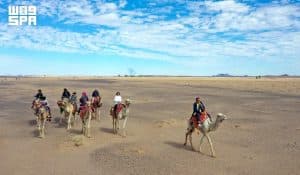 من “درب زبيدة” إلى “طريق مكة”.. رحلة تطور تاريخية نحو منظومة حديثة ومتكاملة لخدمة ضيوف الرحمن بالمملكة
