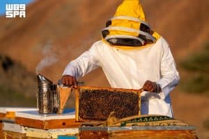 تنوع العُلا الطبيعي يعزّز إنتاج العسل عالي الجودة تزامنًا مع اليوم العالمي للنحل