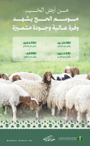 بنحو 32.3 مليون رأس من الضأن والماعز والإبل والبقر.. الثروة الحيوانية بالمملكة تحقق وفرة إنتاجية عالية وتوفر خيارات متنوعة أمام المستهلكين