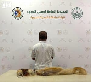 دوريات حرس الحدود بالمدينة المنورة تقبض على شخص لمخالفته لوائح مزاولة الأنشطة البحرية بالمملكة