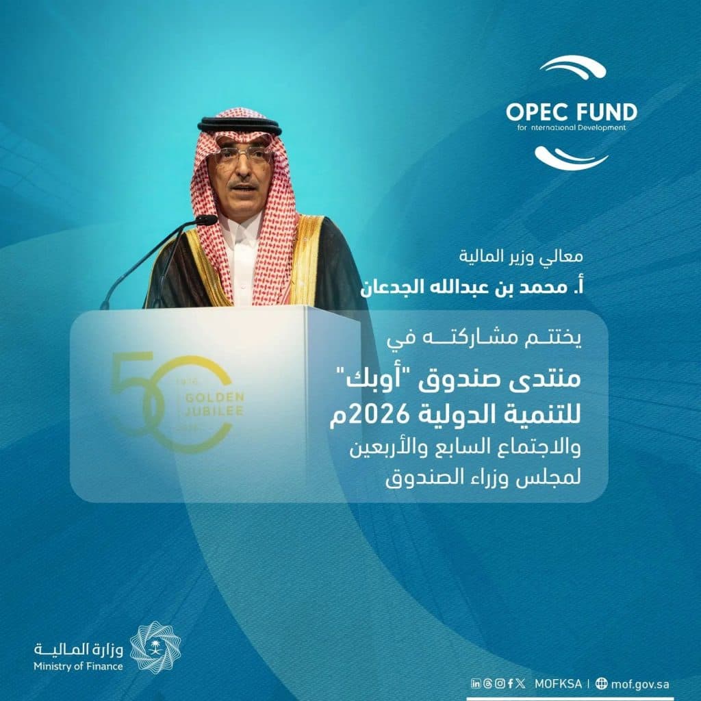 وزير المالية: لا يمكن لأي دولة مواجهة التحديات العالمية بمفردها