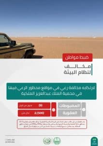القبض على شخصين لمخالفتهما الأنظمة البيئية في محمية الملك عبدالعزيز الملكية ومنطقة المدينة المنورة