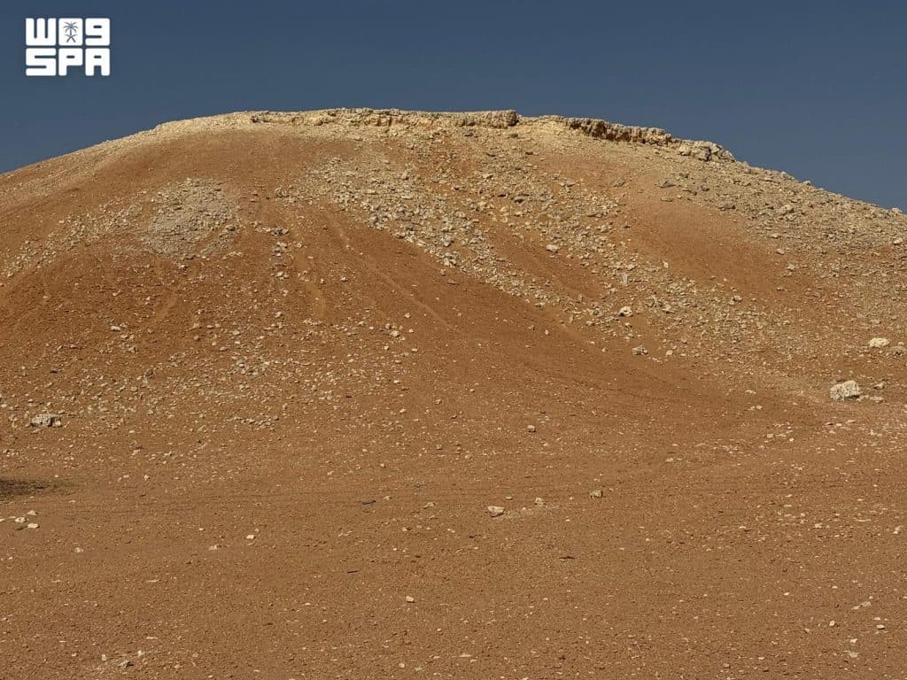 F10353823