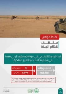 “الأمن البيئي” يضبط مخالفًا لارتكابه مخالفة رعي بمحمية الملك عبدالعزيز الملكية