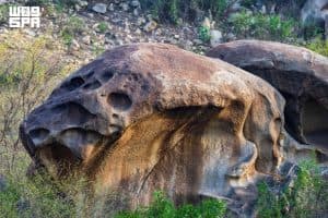 صخرة الجمجمة في هروب.. تحفةٌ جيولوجية نحتتها الطبيعة بين جبال جازان