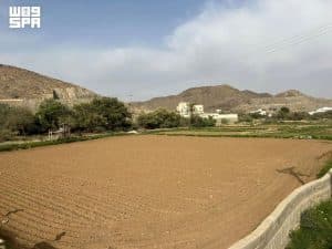 دخول نجم “علب” يمثل بداية الخريف في عسير