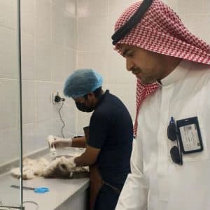 “بيئة مكة”: رصد 18 شكوى لأخطاء طبية في منشآت بيطرية..ولا تهاون مع المخالفين
