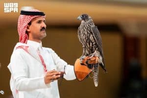 خصائص تميز أنواع الصقور في المزاد الدولي لمزارع إنتاج الصقور