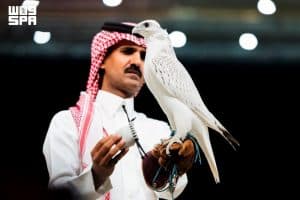 بيع أغلى صقر في المزاد الدولي لمزارع إنتاج الصقور بـ1.3 مليون ريال