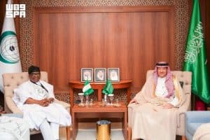 نائب وزير الخارجية يلتقي وزير الدولة للشؤون الخارجية بجمهورية نيجيريا
