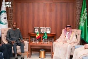نائب وزير الخارجية يلتقي وزراء خارجية السنغال وغينيا بيساو والمالديف