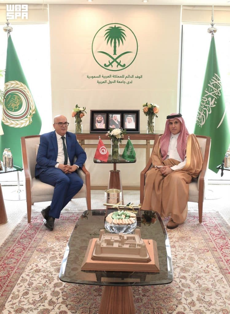 المندوب الدائم للمملكة لدى جامعة الدول العربية يلتقي المدير العام للمنظمات المغاربية والعربية والإسلامية بوزارة الخارجية التونسية