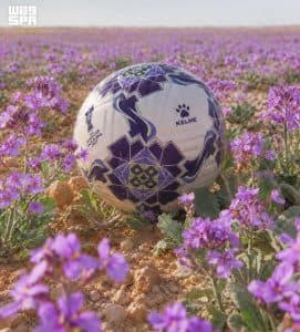 تحمل اسم “الخُزامى”.. الاتحاد الآسيوي لكرة القدم يعلن الكرة الرسمية لـ”كأس آسيا السعودية 2027″