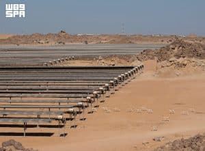 محمية “الأمير محمد بن سلمان” تسجل سابقة عالمية بإكثار “غزال الرمل” داخل محطة للطاقة الشمسية