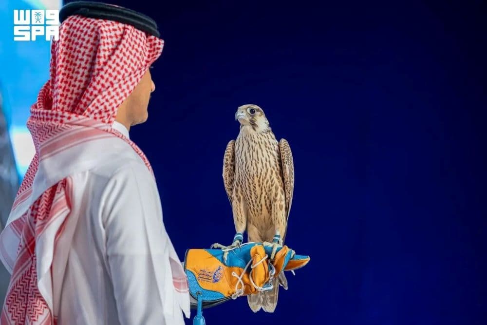 مبيعات مزاد المركز الوطني للصقور تتجاوز حاجز المليون ريال