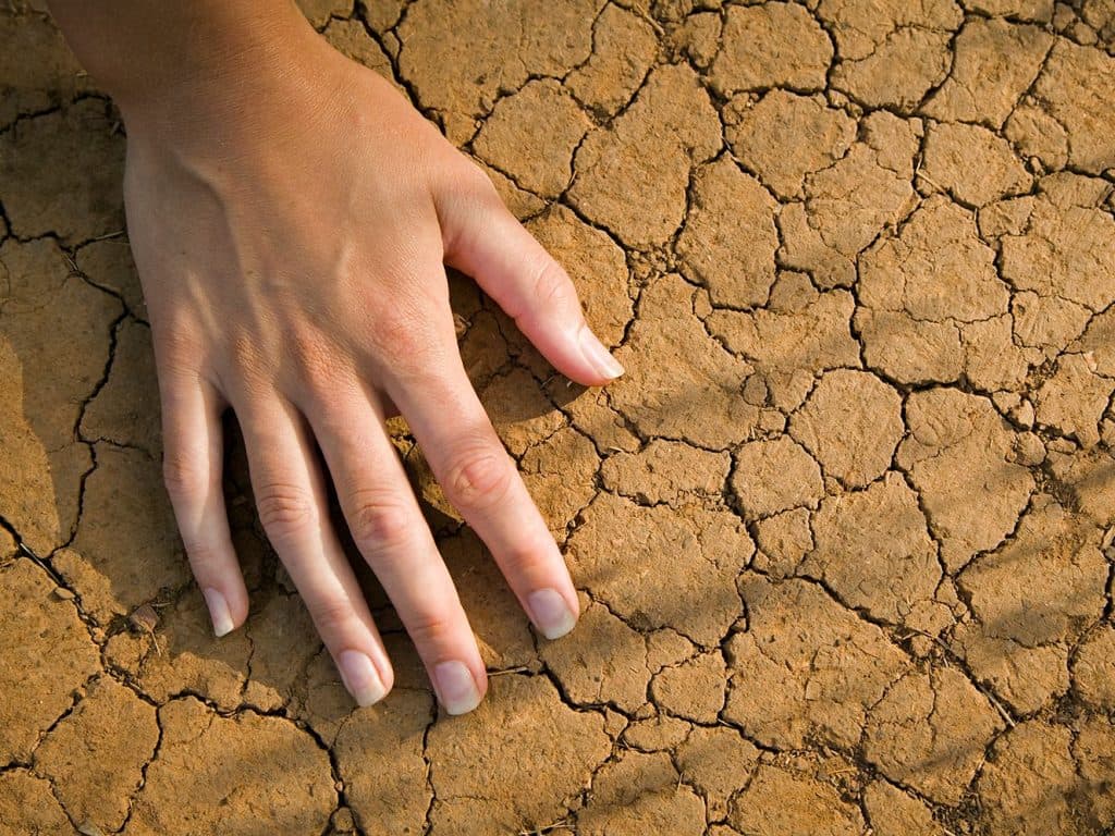 لمحاربة تأثير المعقمات على اليدين؛ وصفات منزلية تروي عطش جفاف يديك