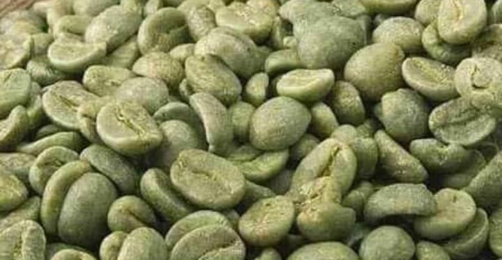 القهوة الخضراء تدخل على خط التخسيس