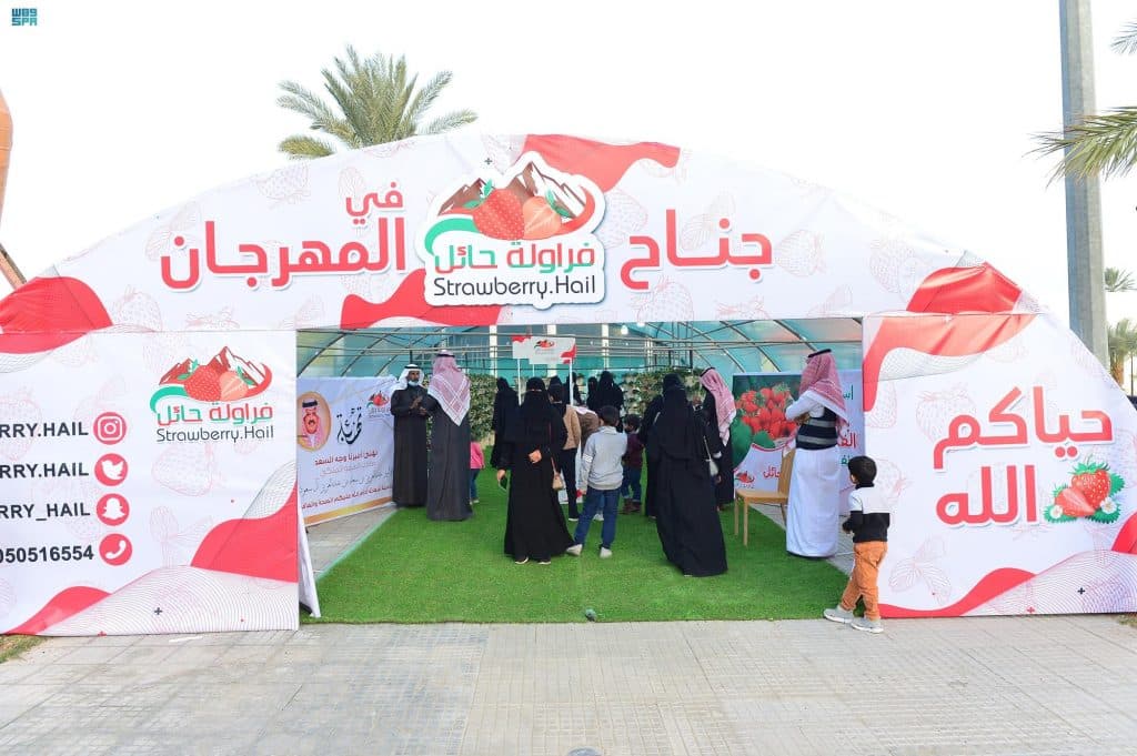 مهرجان الفراولة في حائل