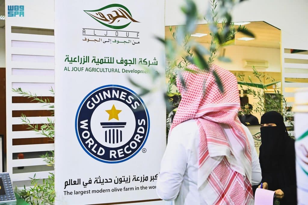 الجوف تستعرض تسجيل زيتونها بموسوعة جينيس