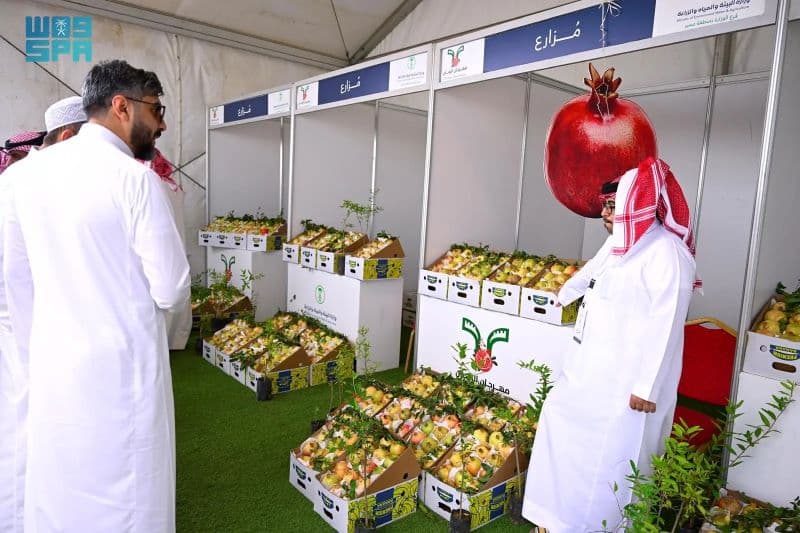 انطلاق مهرجان الرمَّان بسراة عبيدة