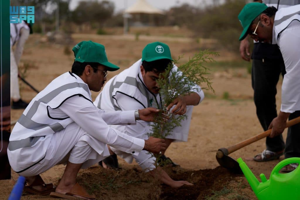 في يوم “السعودية الخضراء”.. 10 مليارات شجرة حلم يتحقق
