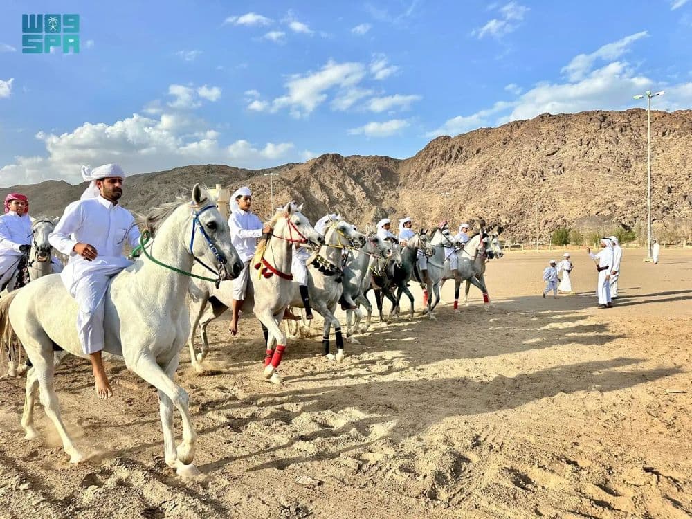 عروض الخيل بنجران في احتفالات عيد الفطر