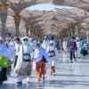 ضيوف الرحمن بالمدينة .. رحلة عنوانها السكينة