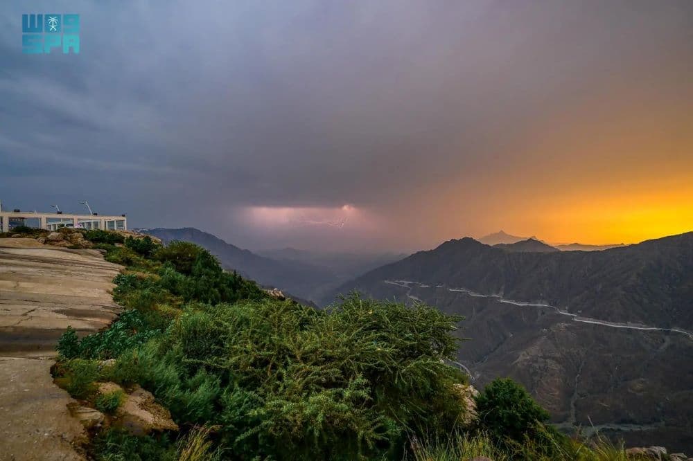 gzcC9455UwbDyLeLDD6Tf9kpwewkKULrfzk1wUHT