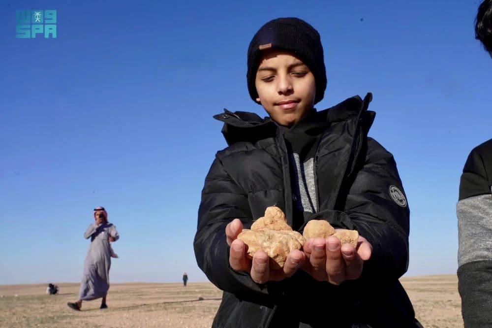 رحلة البحث عن الفقع في صحراء الحدود الشمالية