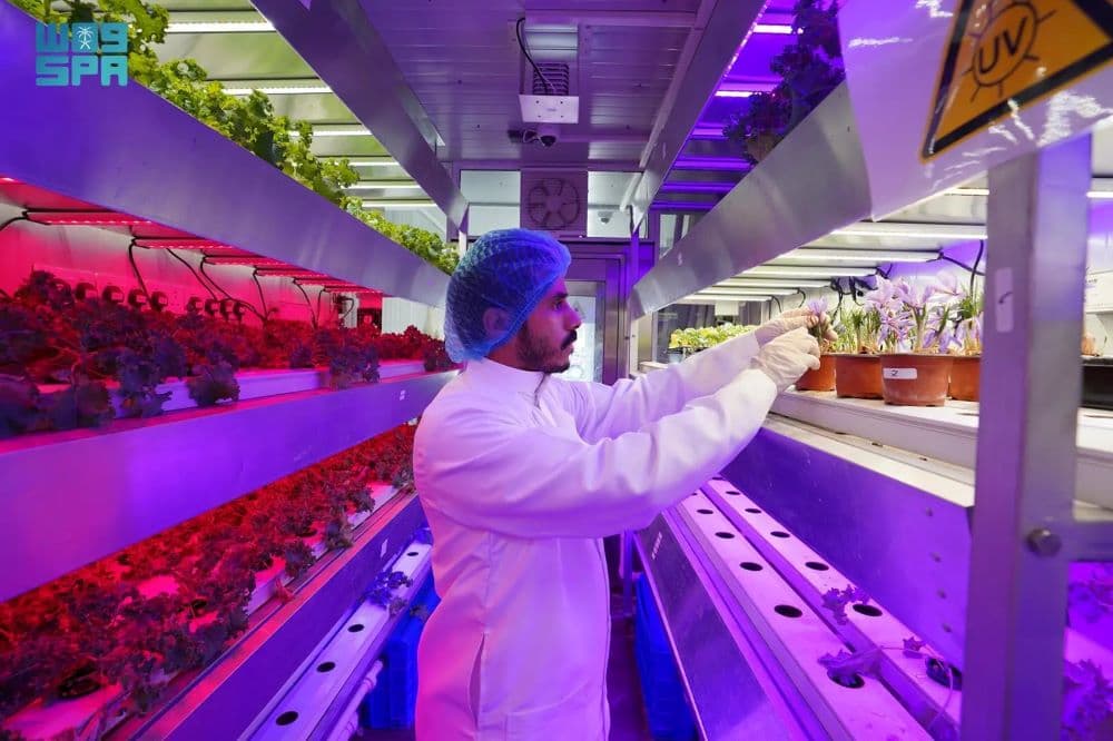 باحثون سعوديون يطورون تقنيات مبتكرة لزراعة الزعفران في 10 أيام