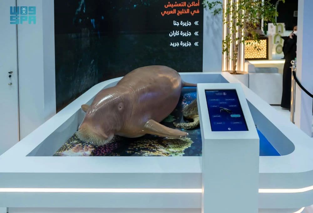 “الأطوم” رمز بيئي تحتضنه المملكة بحماية صارمة ومبادرات وطنية