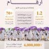 أكدت مشاركة أكثر من 94 ألف فرد في نجاح الموسم.. “الحج”: “امتثال” يُنفّذ أكثر من 70 ألف جولة رقابية خلال “حج 1446”