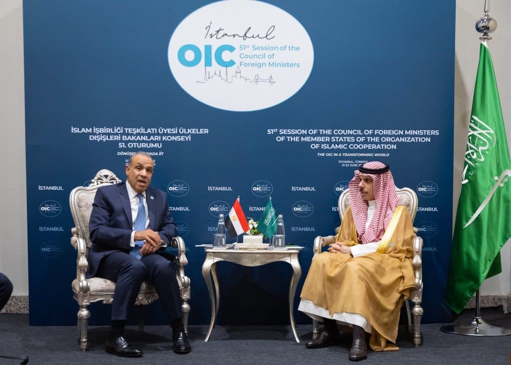 وزير الخارجية يلتقي نظيريه المصري والباكستاني