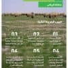 بما يحقق التوازن ويحد من التدهور البيئي.. “الغطاء النباتي” يصدر تصاريح للرعي بعدد من الفياض والمتنزهات الوطنية