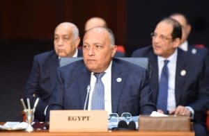 مصر تحيل أزمة سد النهضة الإثيوبي إلى مجلس الأمن