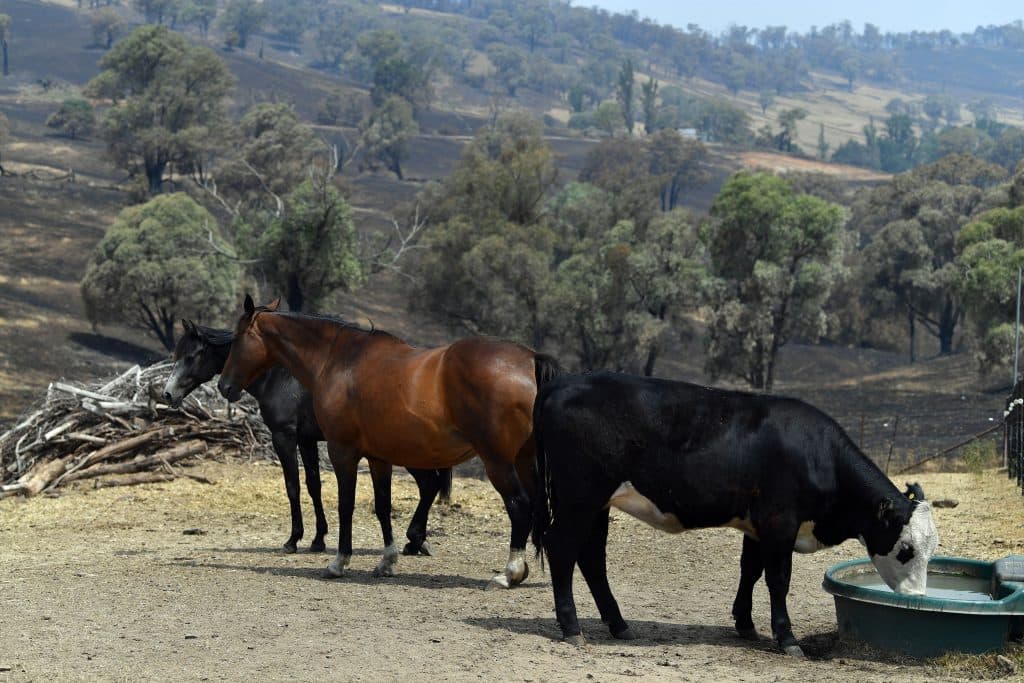 AUSTRALIA-WEATHER-FIRES