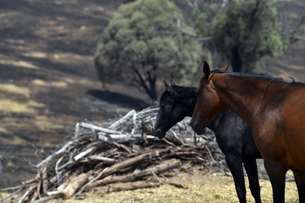 AUSTRALIA-WEATHER-FIRES