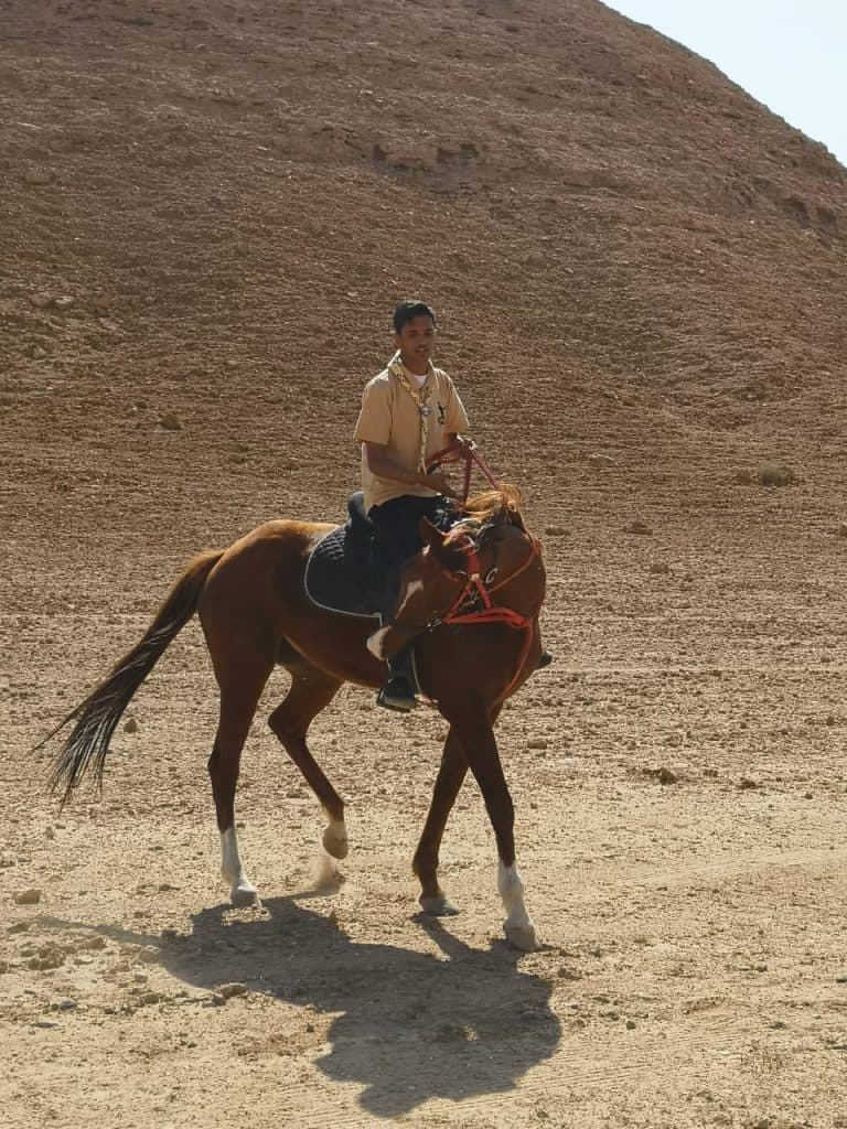 الرياض 12