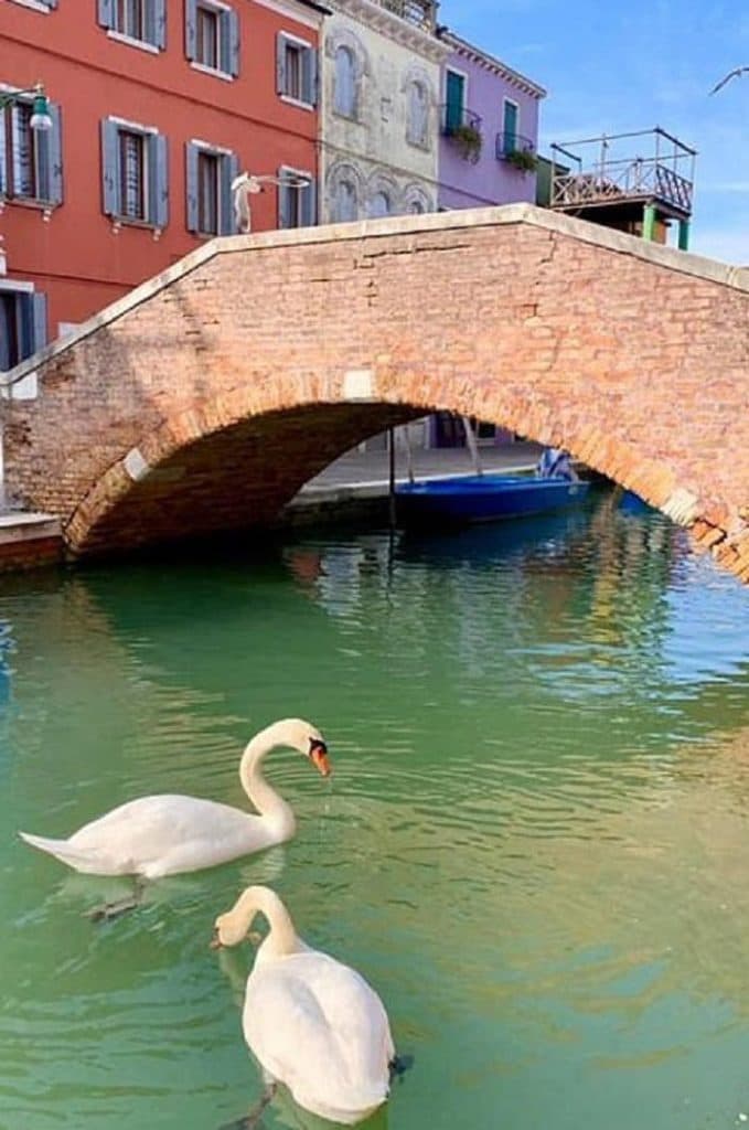 133-003106-venices-canals-cleanest-theyve-living-6