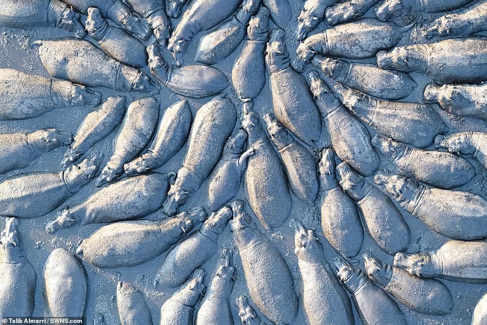 28247928-8306695-Each_winter_as_the_waters_of_Botswana_s_Okavango_River_spread_ac-a-26_1589183975556