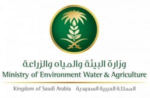 “البيئة”: الأعلاف المتكاملة ترفع ربحية مربي الماشية 41% وتحقق عوائد اقتصادية وطنية