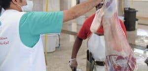 بإشراف أمانة تبوك.. ذبح أكثر من 90 ألف رأس من الأنعام خلال جائحة كورونا