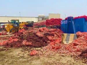 إحباط بيع 200 طن من البصل الفاسد في جدة