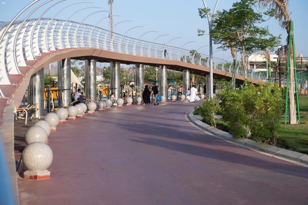 DST_1371596_1947352_202007152037556063 متنزه الردف – الطائف