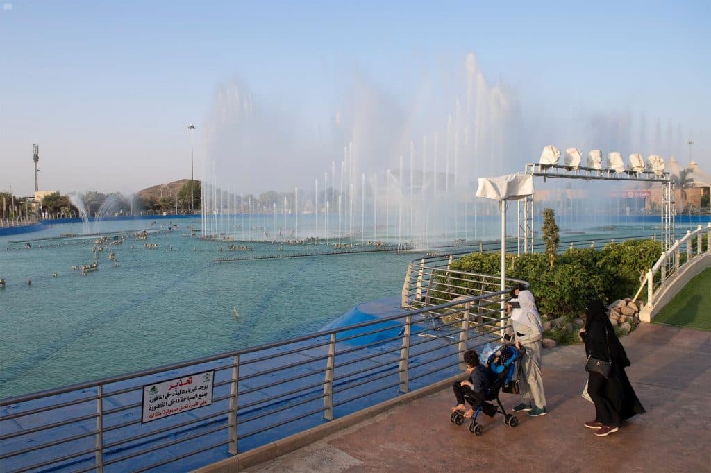 DST_1371596_1947357_202007152037556063 متنزه الردف – الطائف