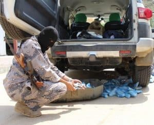 حرس الحدود يحبط تهريب طن من الحشيش و400 ألف قرص إمفيتامين