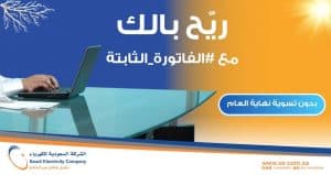 “السعودية للكهرباء”: توزيع الفروقات على متوسط جديد لمن يجدد اشتراكه في “الثابتة” وبدون تسوية نهاية العام