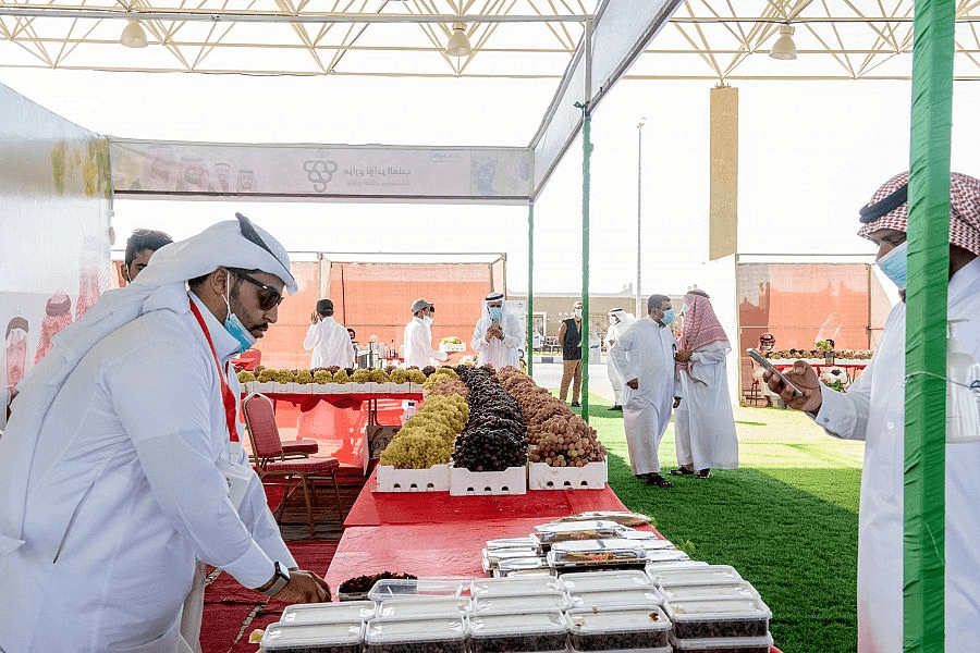 EfaOmkLX0AU686W مهرجان عنب الصلبية – القصيم