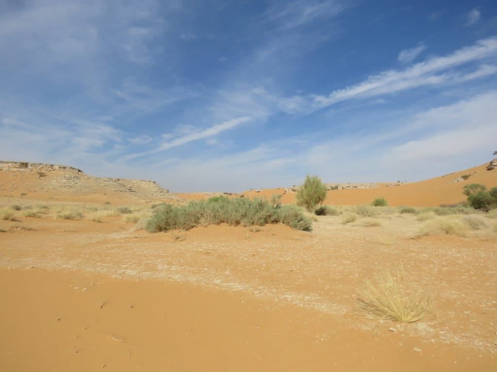 EgHJxx0WkAEup6b