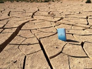 إنهاء دراسة مؤشرات التصحر وزحف الرمال في مناطق المملكة